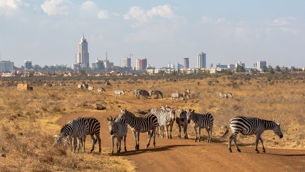 Nairobi by Day